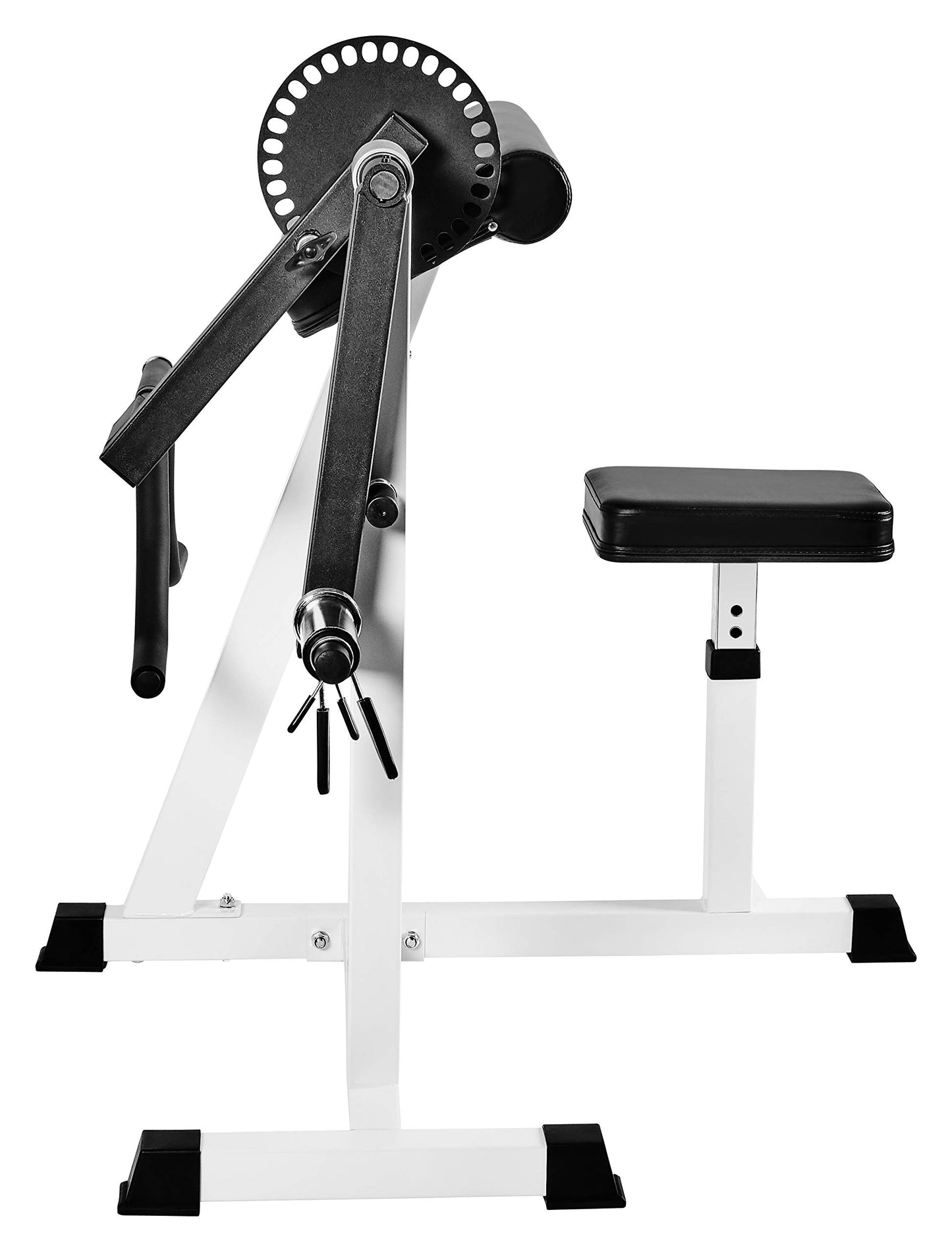 Bad Company Bizeps/Trizeps Curl Maschine – Hantelablage bis 80 kg